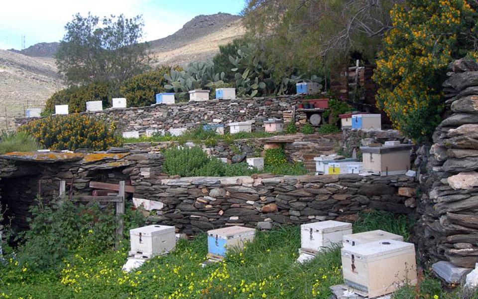 περίπου-4-εκατ-ευρώ-για-την-στήριξη-της-2024579