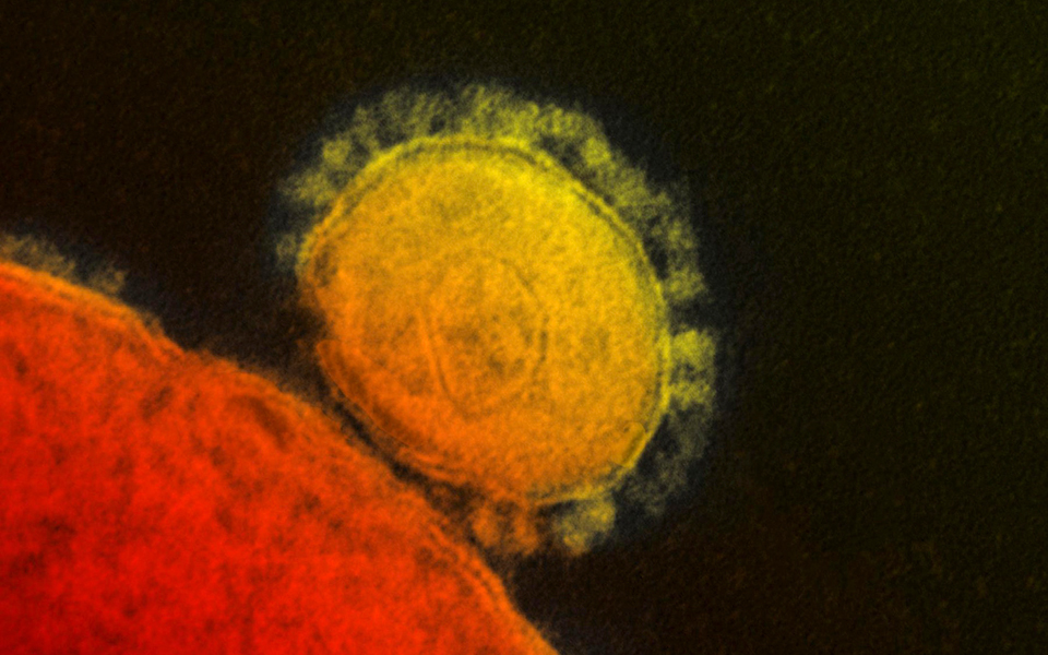 πρώτο-κρούσμα-του-mers-στη-χάγη-2023471