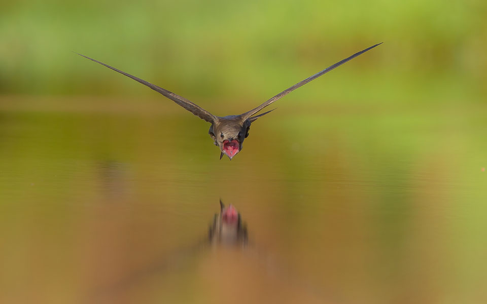 δύο-χρόνια-και-3000-κλικ-για-το-τέλειο-πέ-2023842