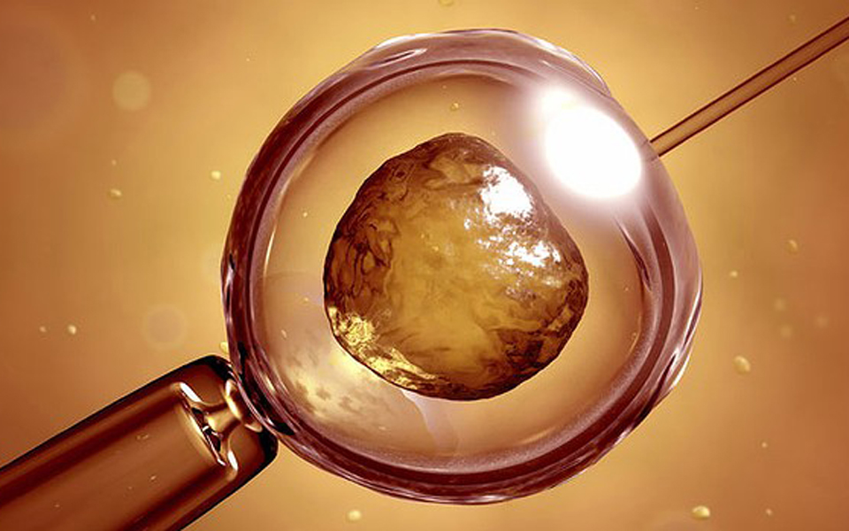 αναγέννηση-δοντιών-με-λέιζερ-και-βλασ-2026435