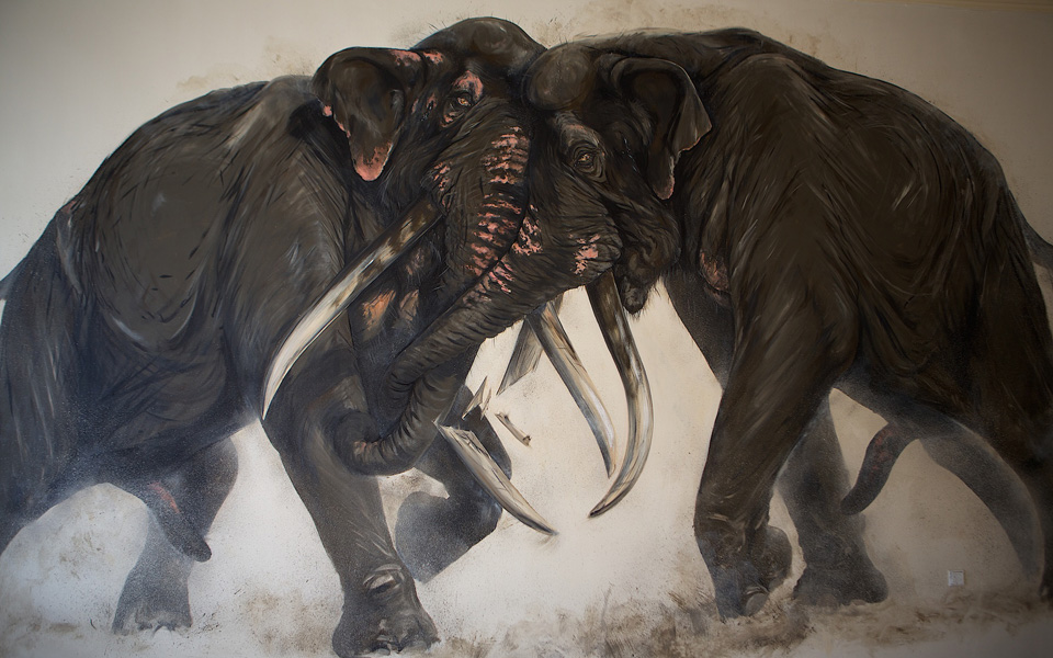 ο-λαβωμένος-ελέφαντας-του-καλονερίου-2021436