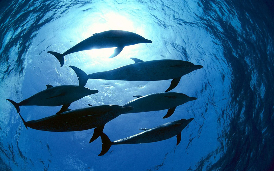 υπεκα-σύμπραξη-με-τον-βραβευμένο-με-όσ-2030930