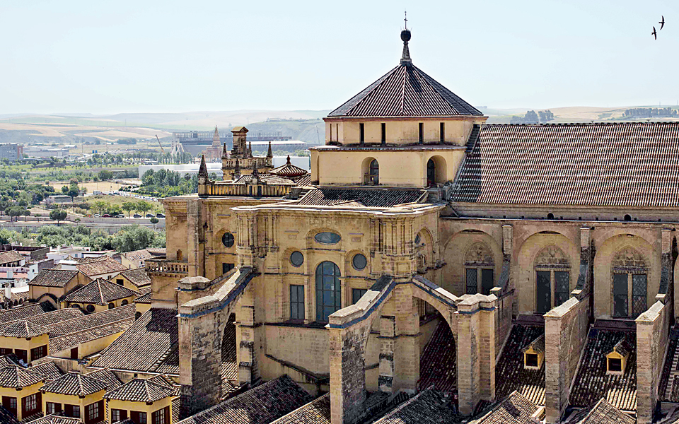 αν-και-σύμβολο-συνύπαρξης-διχάζει-2028773