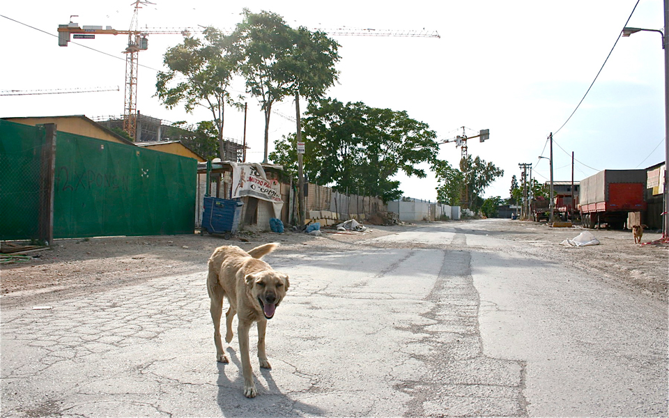 θρυμματισμένες-εικόνες-από-τον-ελαιώ-2029080