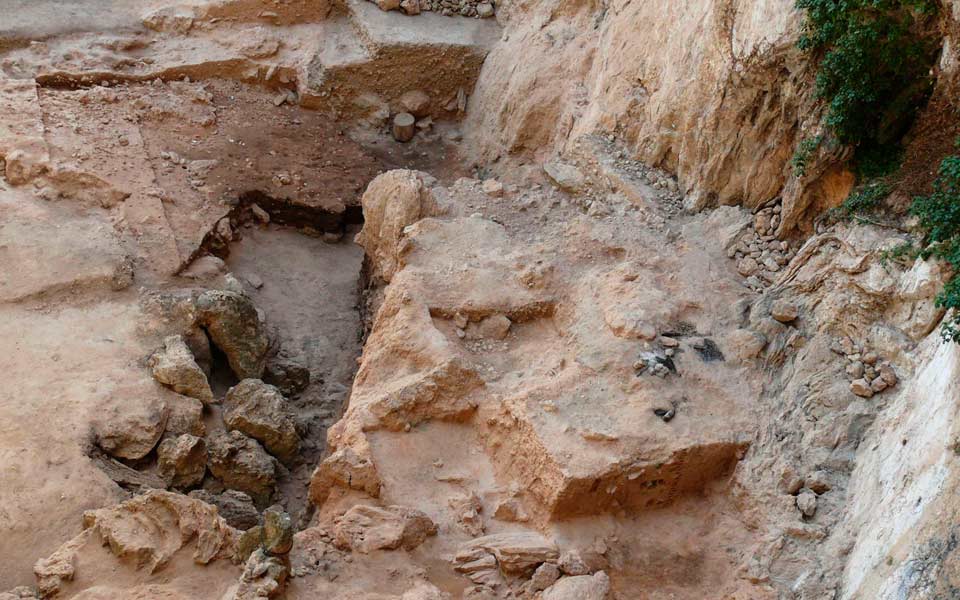 οι-νεάντερταλ-έτρωγαν-και-λαχανικά-2031736