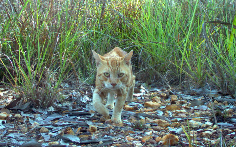 φωτογραφήματα-2027605