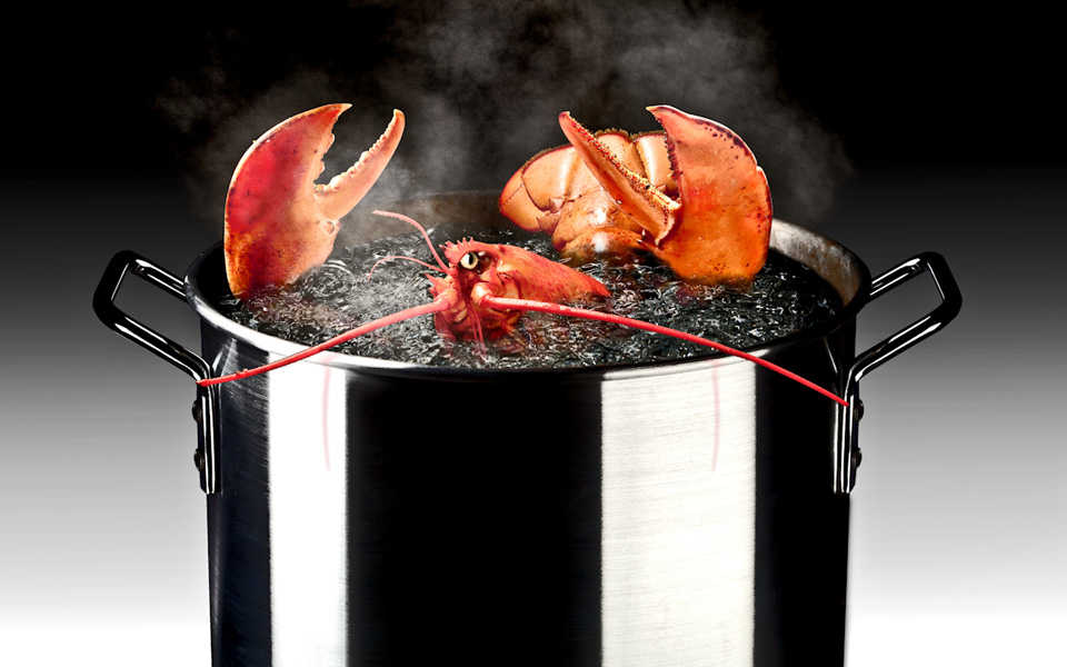 το-άγχος-χτυπά-και-τους-αστακούς-2028985