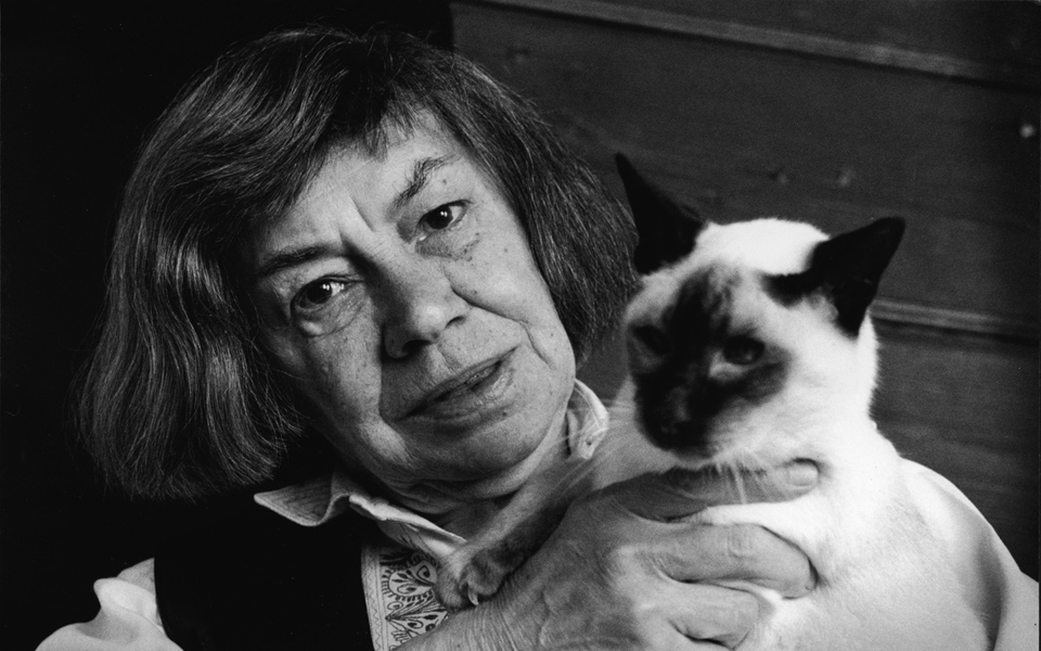 η-ταλαντούχος-εκκεντρική-και-σκοτειν-2030152