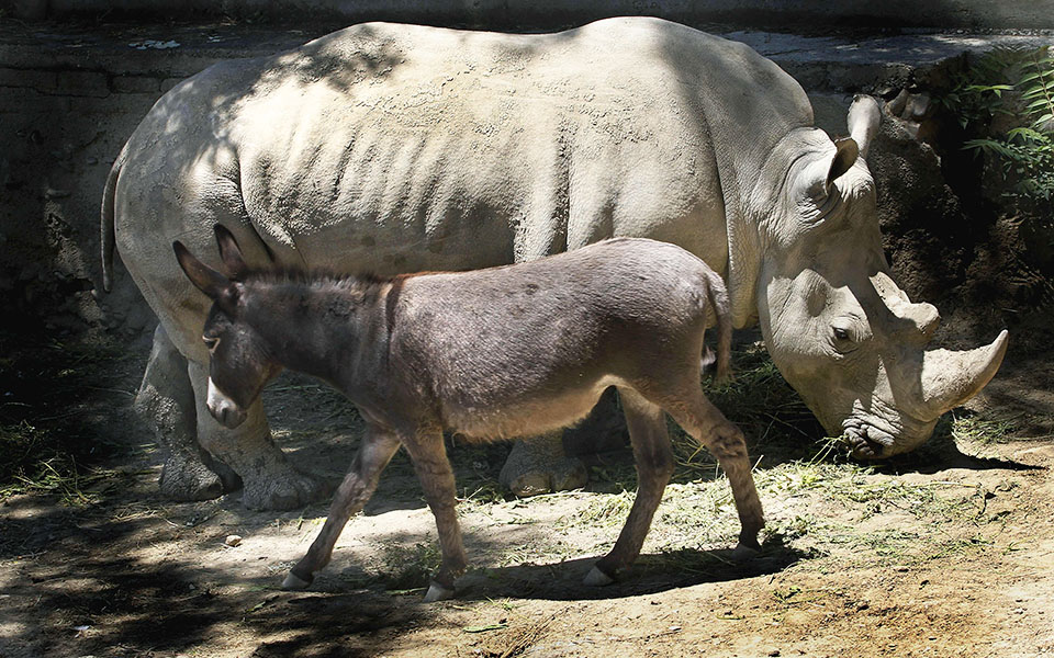 η-παρέα-κάνει-καλό-2031995