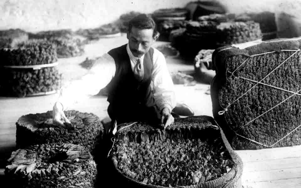 η-ιστορία-του-καπνού-2028574