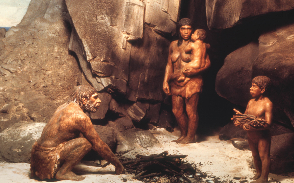 νέο-είδος-ζούσε-πριν-τους-νεάντερταλ-2030353