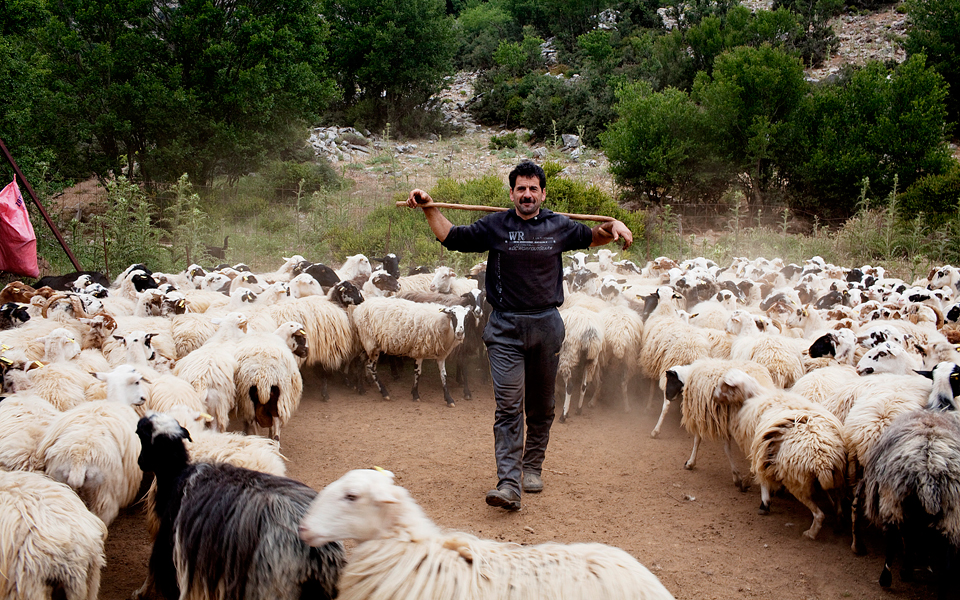 προσεχώς-σασμός-το-αντίθετο-της-βεντέ-2030248