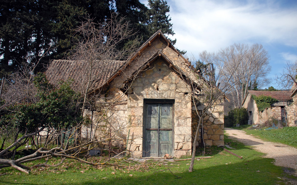 tο-τατόι-παίρνει-μπροστά-για-τα-καλά-2027895