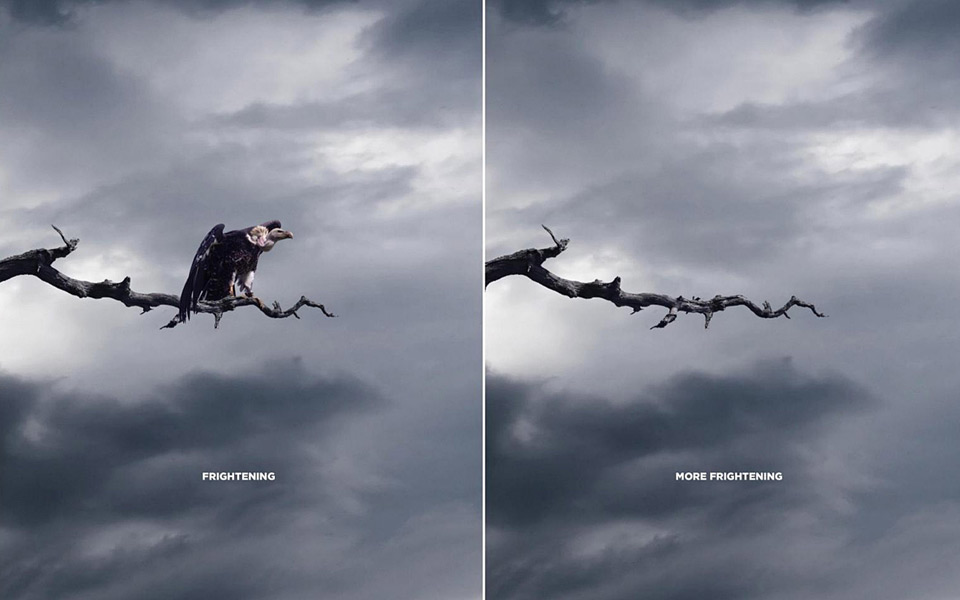 wwf-επικίνδυνες-για-το-περιβάλλον-οι-πολ-2029533