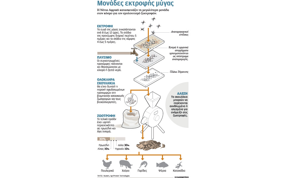 ζωοτροφές-με-προνύμφες-μύγας-2033100