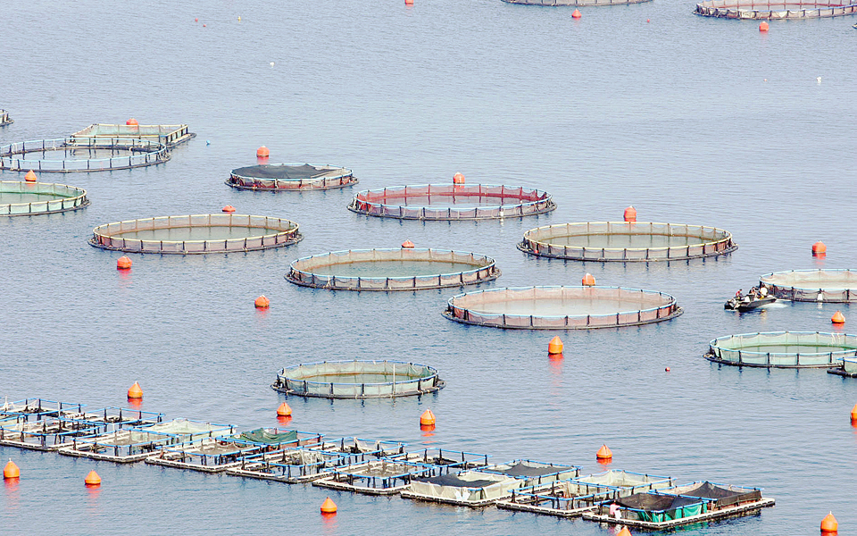 χρηματοδότηση-καινοτόμων-επενδυτικώ-2033393