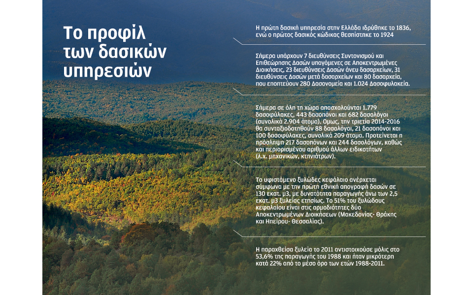 χρειαζόμαστε-γρήγορες-δασικές-υπηρ-2033360