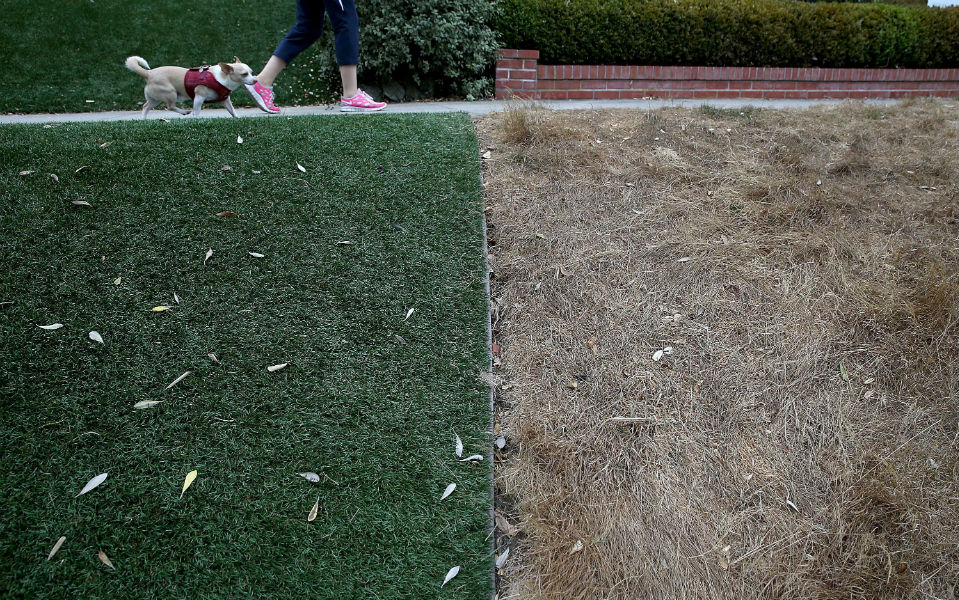 φωτογραφήματα-2035378