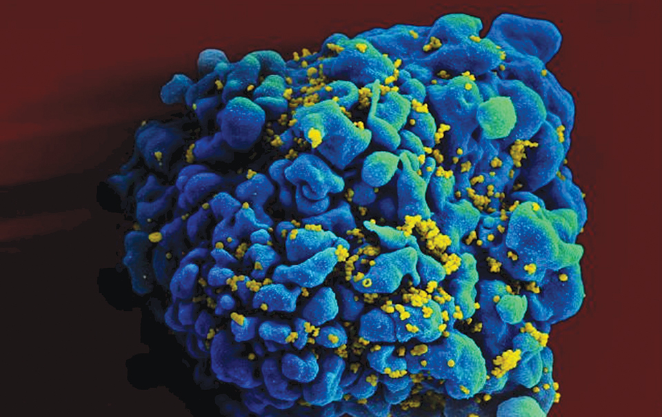 βρήκαν-ξανά-έιτζ-στο-μωρό-που-είχε-ιαθε-2034709