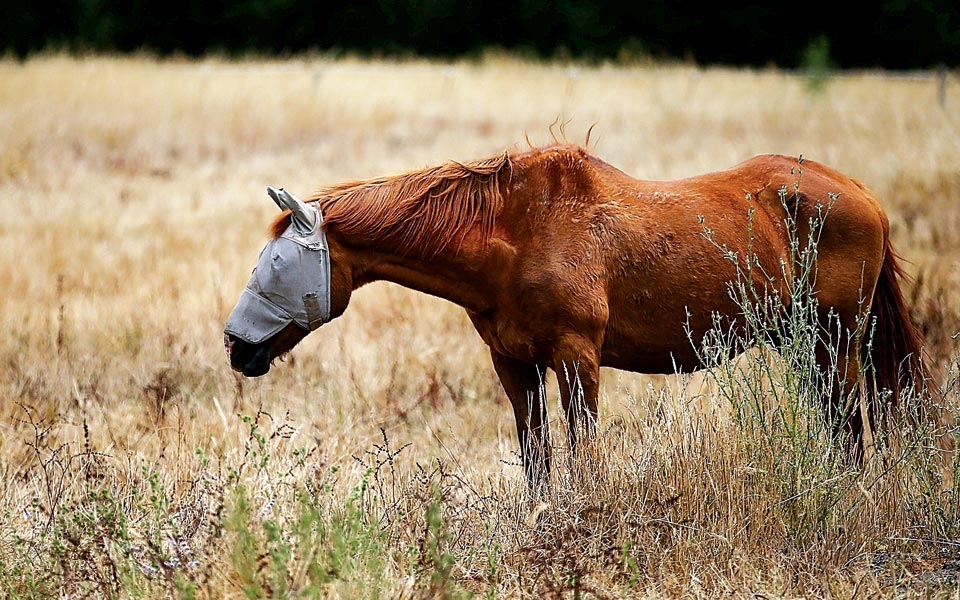 η-ξηρασία-οδηγεί-σε-πρόστιμα-2035435