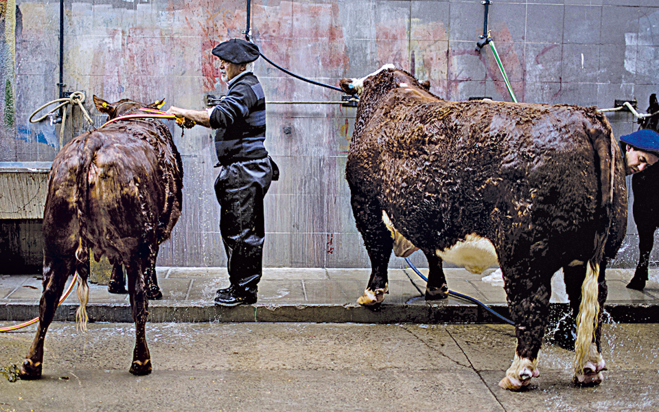 το-βοδινό-κρέας-κοστίζει-πολύ-στο-περι-2036364