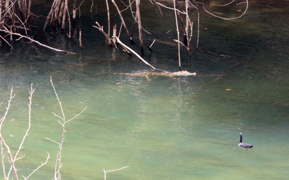 αναζητούν-νέο-σχέδιο-για-σύλληψη-το-2036531