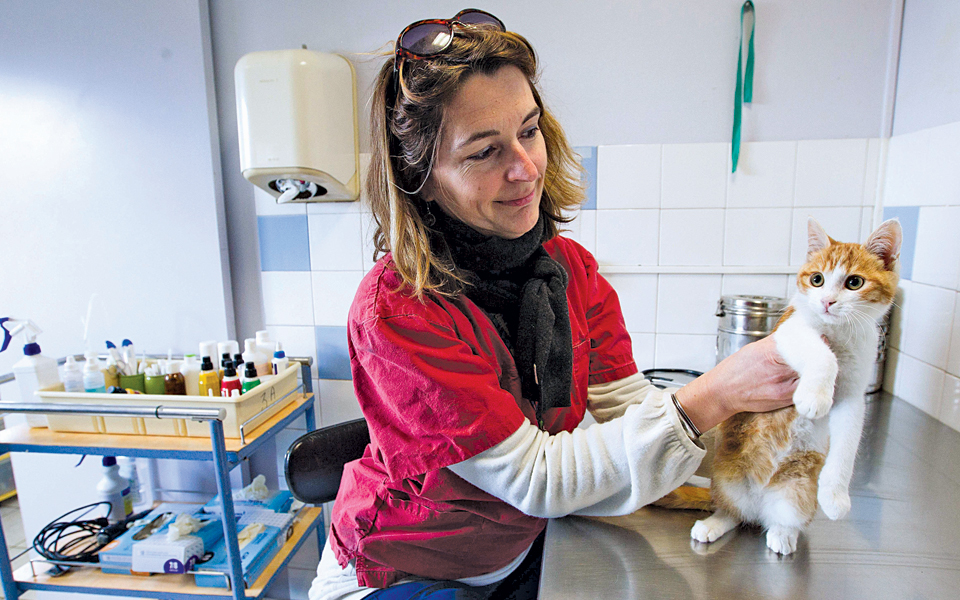 μήπως-έχουν-έμμονες-σκέψεις-και-τα-ζώα-2037087