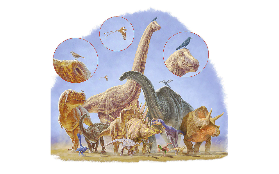 οι-δεινόσαυροι-είχαν-φτερά-2036954