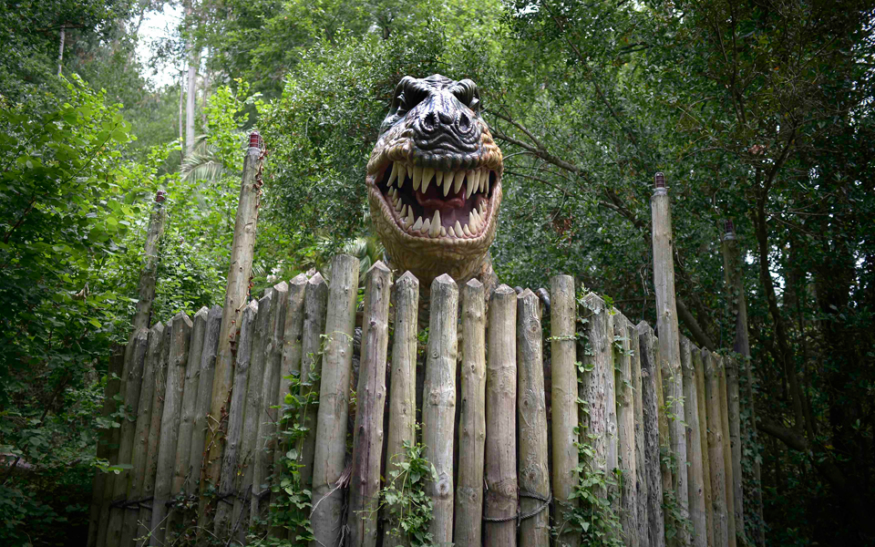 μέγιστη-κακοτυχία-η-εξαφάνιση-των-δει-2037296