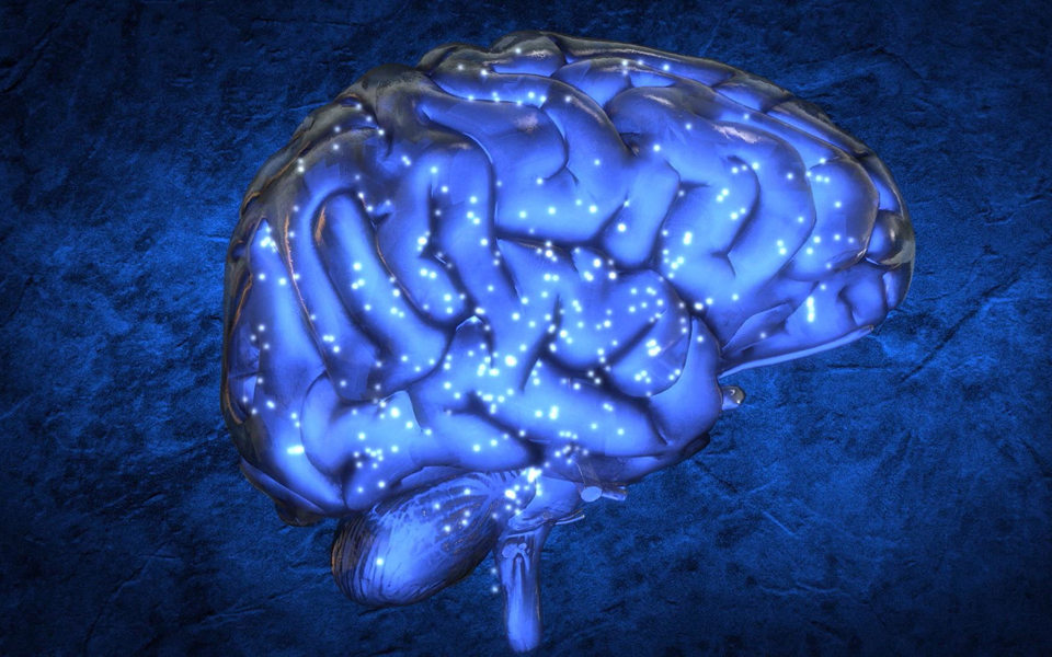 εντοπίστηκε-περιοχή-του-εγκεφάλου-πο-2037191