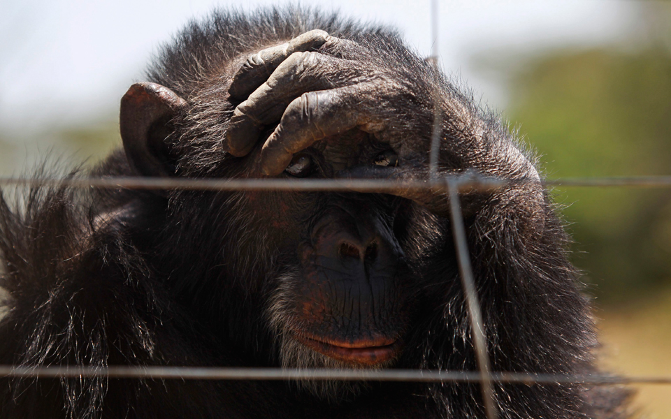 με-66-χειρονομίες-για-19-μηνύματα-επικοιν-2033249