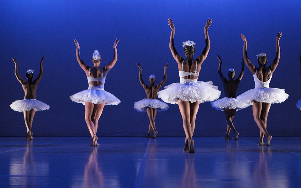 μαύροι-κύκνοι-στην-αθήνα-2033142