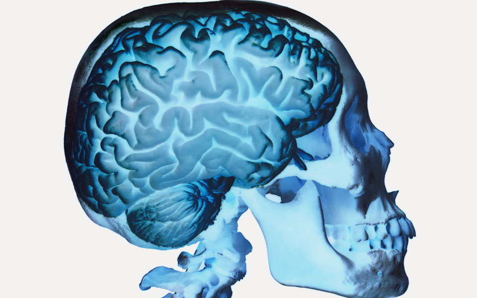 εντοπίστηκε-περιοχή-στον-εγκέφαλο-πο-2037316