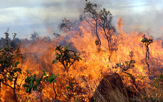 σε-εξέλιξη-πυρκαγιές-σε-κρήτη-ζάκυνθο-2033150