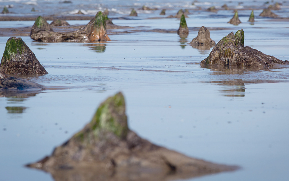 ενα-βυθισμένο-βασίλειο-5-000-ετών-αναδύετ-2034824
