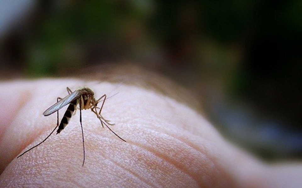 qa-υπάρχουν-τροφές-ή-ποτά-που-αν-κατανα-2034834