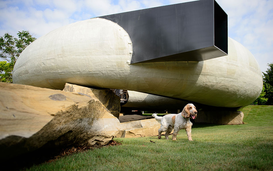 νεολιθική-λάμψη-στο-λονδίνο-2032766