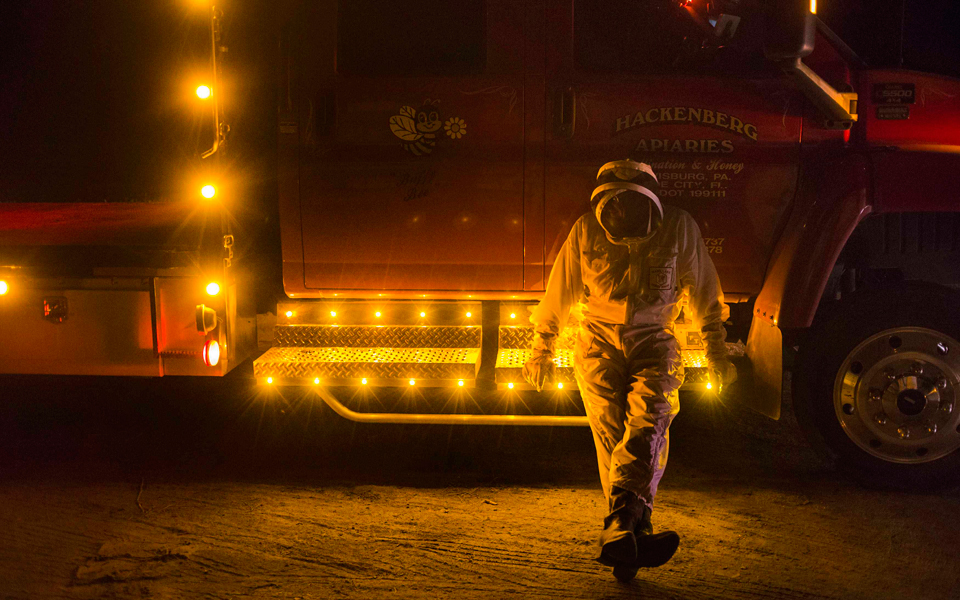 ο-αγώνας-για-τη-διάσωση-των-μελισσών-2035005