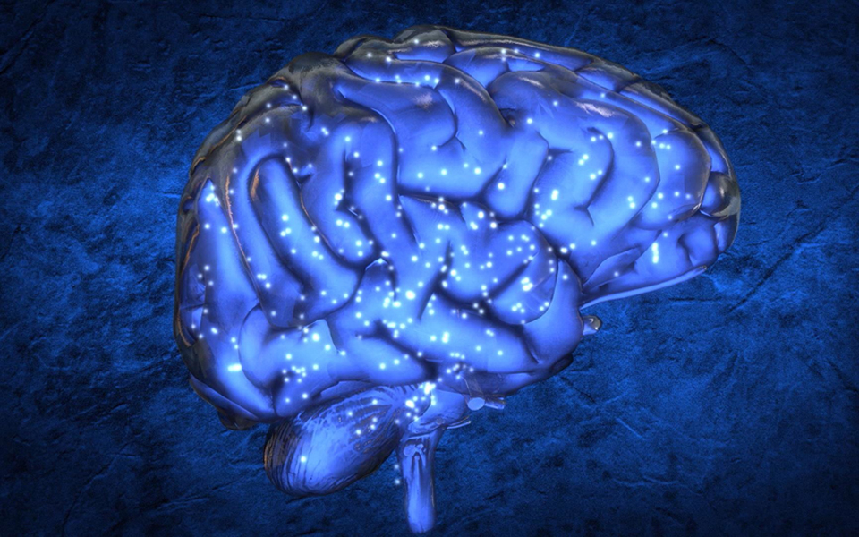 σχέδιο-δημιουργίας-νέας-μνήμης-2035863