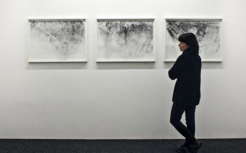 ένας-φοίνικας-αναγεννιέται-μέσα-από-τ-2033310