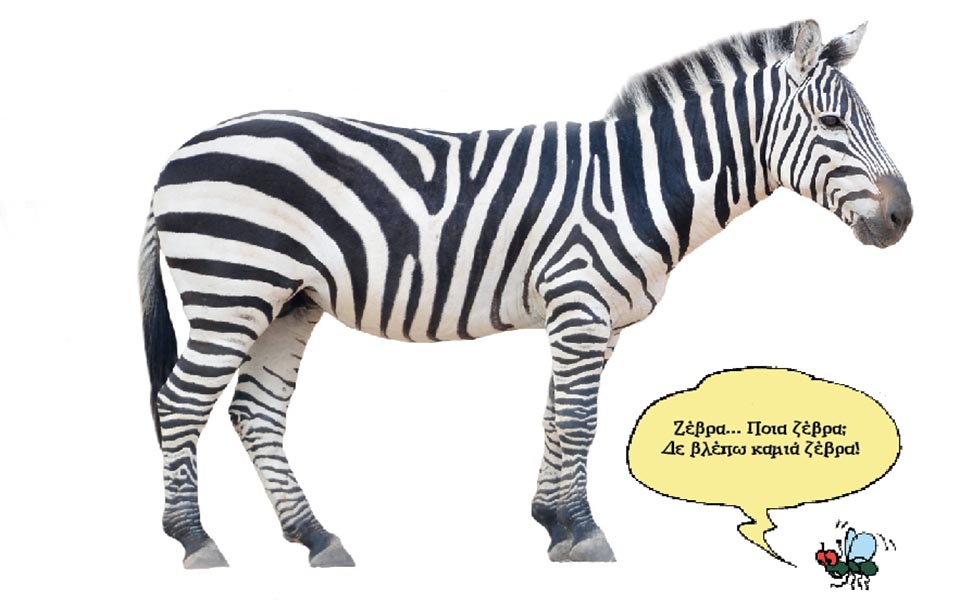 είπε-η-ρίγα-στη-μύγα-2035754