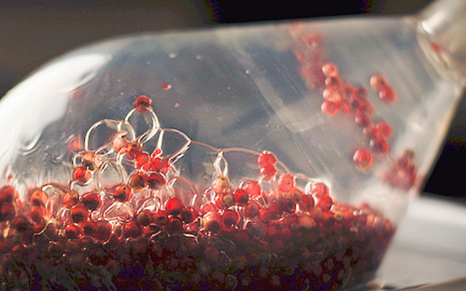 προτάσεις-2033387