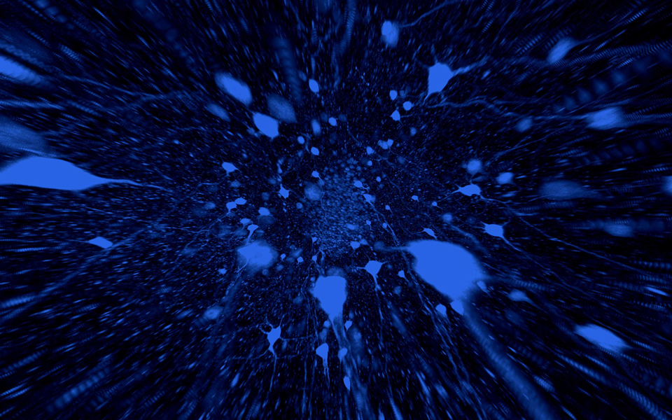 τεχνική-κάνει-το-σώμα-διαφανές-2037971