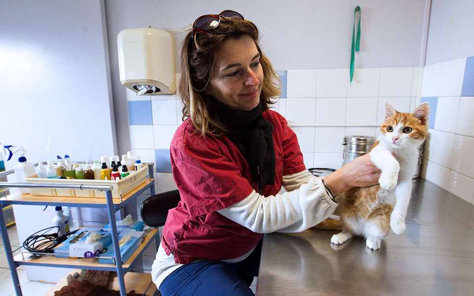 σώος-και-αβλαβής-2038375