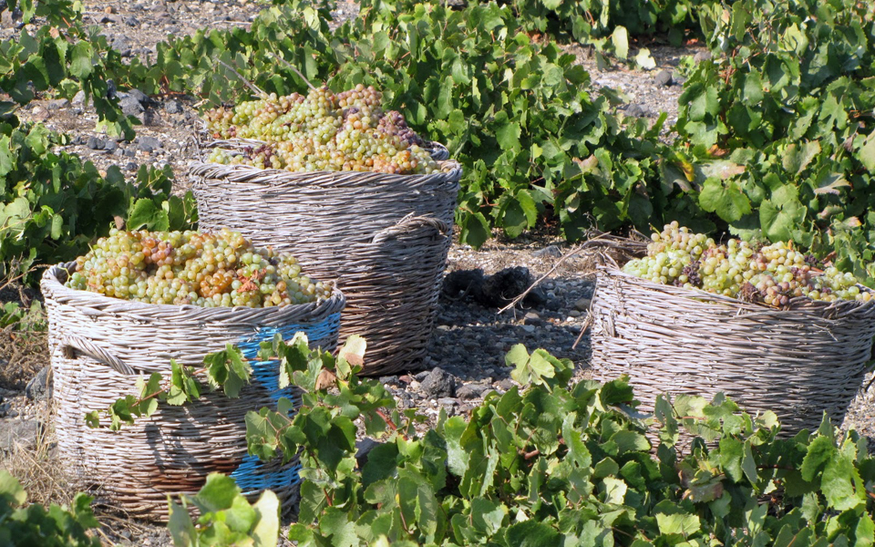 στο-μικροσκόπιο-των-ξένων-μικρές-και-μ-2039290