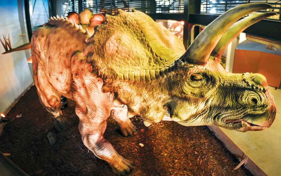 μουσείο-την-εποχή-των-δεινοσαύρων-2038432