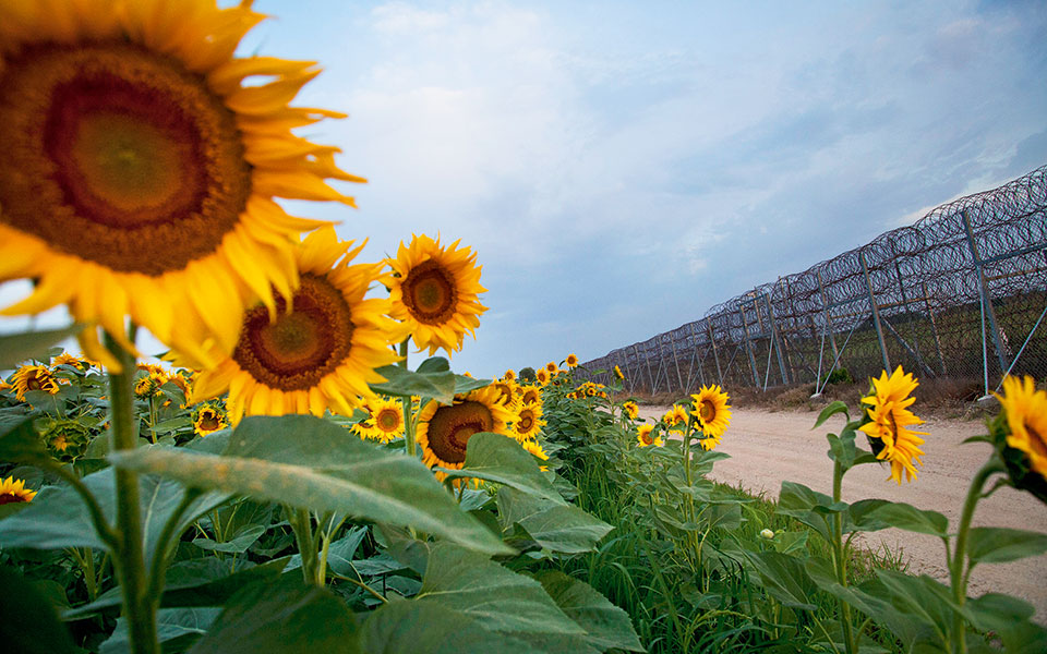 ο-εβρος-δεν-ειναι-πια-ξεφραγο-αμπελι-2038223