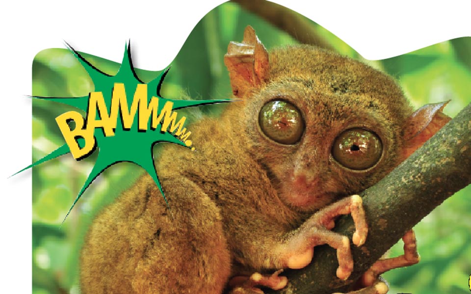 η-σιωπηλή-κραυγή-2038663