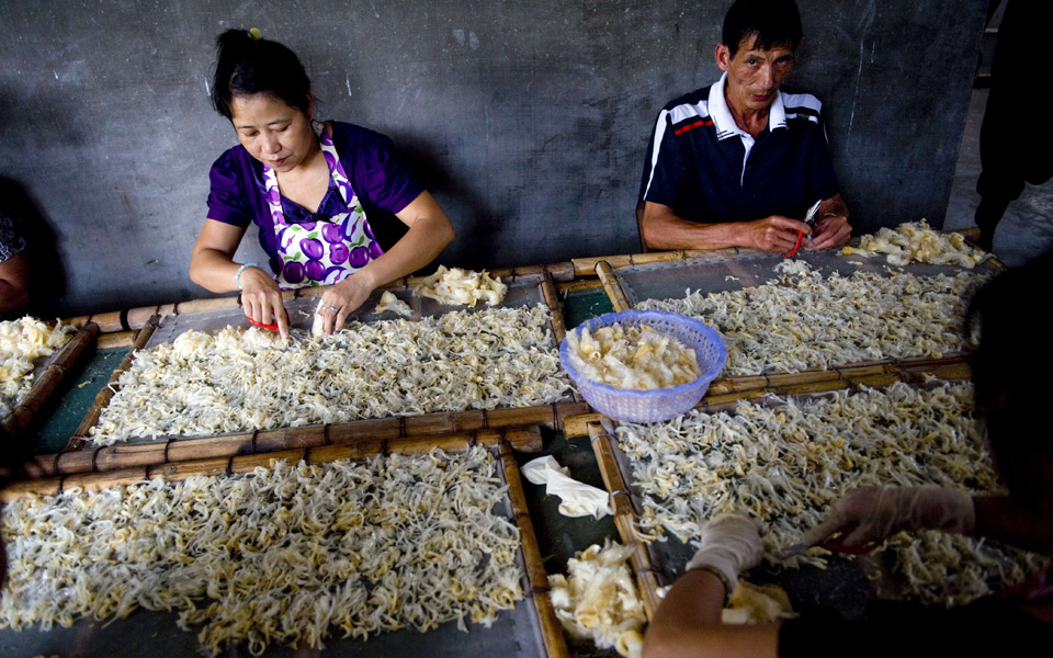 στο-εσωτερικό-του-μεγαλύτερου-σφαγεί-2039940