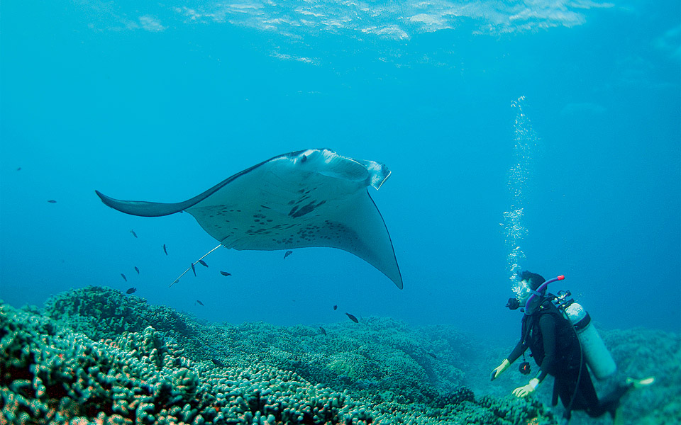 όταν-πέφτει-ο-ήλιος-η-αδρεναλίνη-ανεβα-2041551